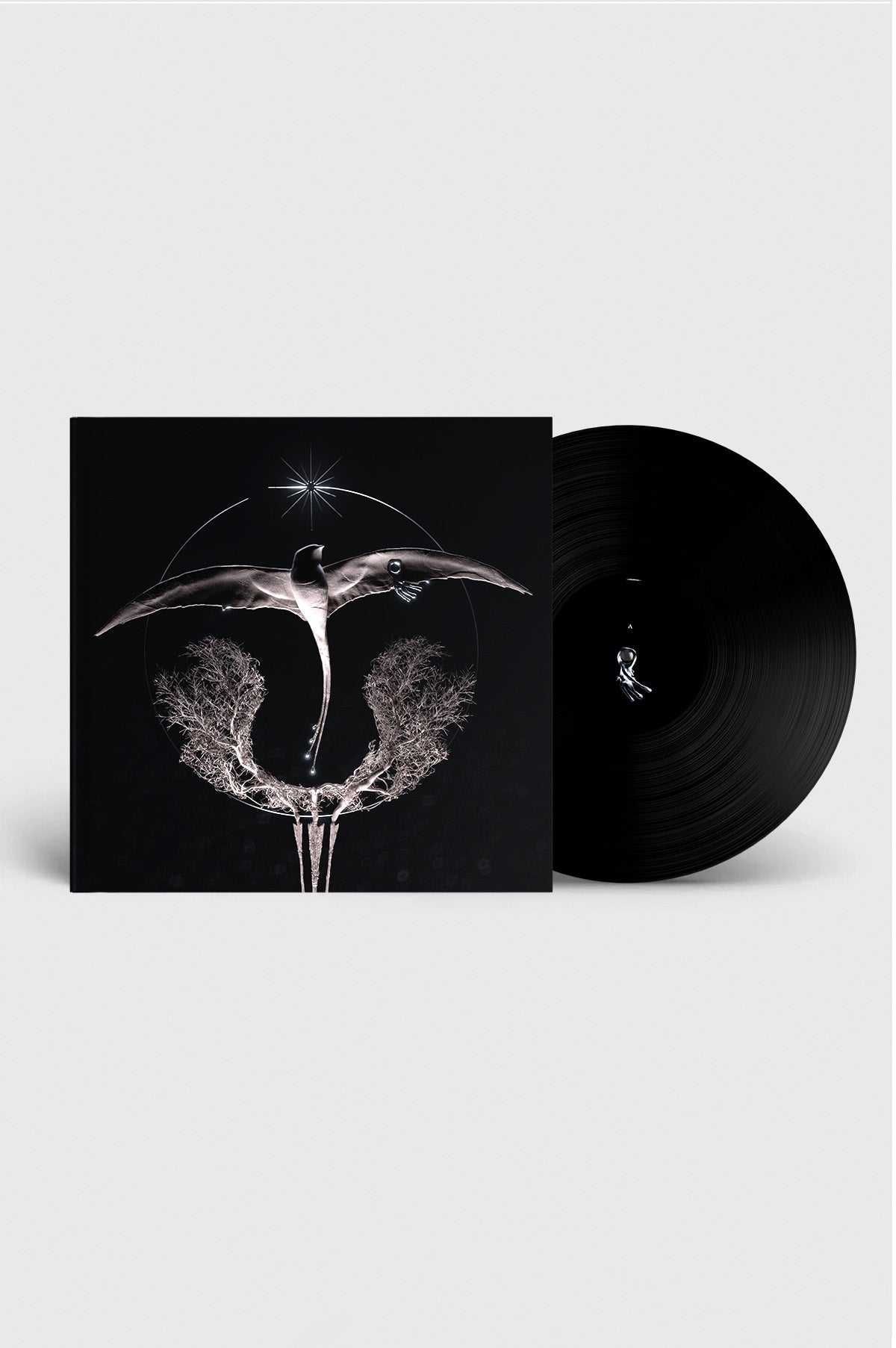 CLANN - Arise (Vinyle Noir 12")-4