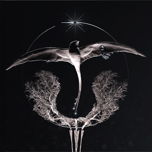 CLANN - Arise (Vinyle Noir 12")-3