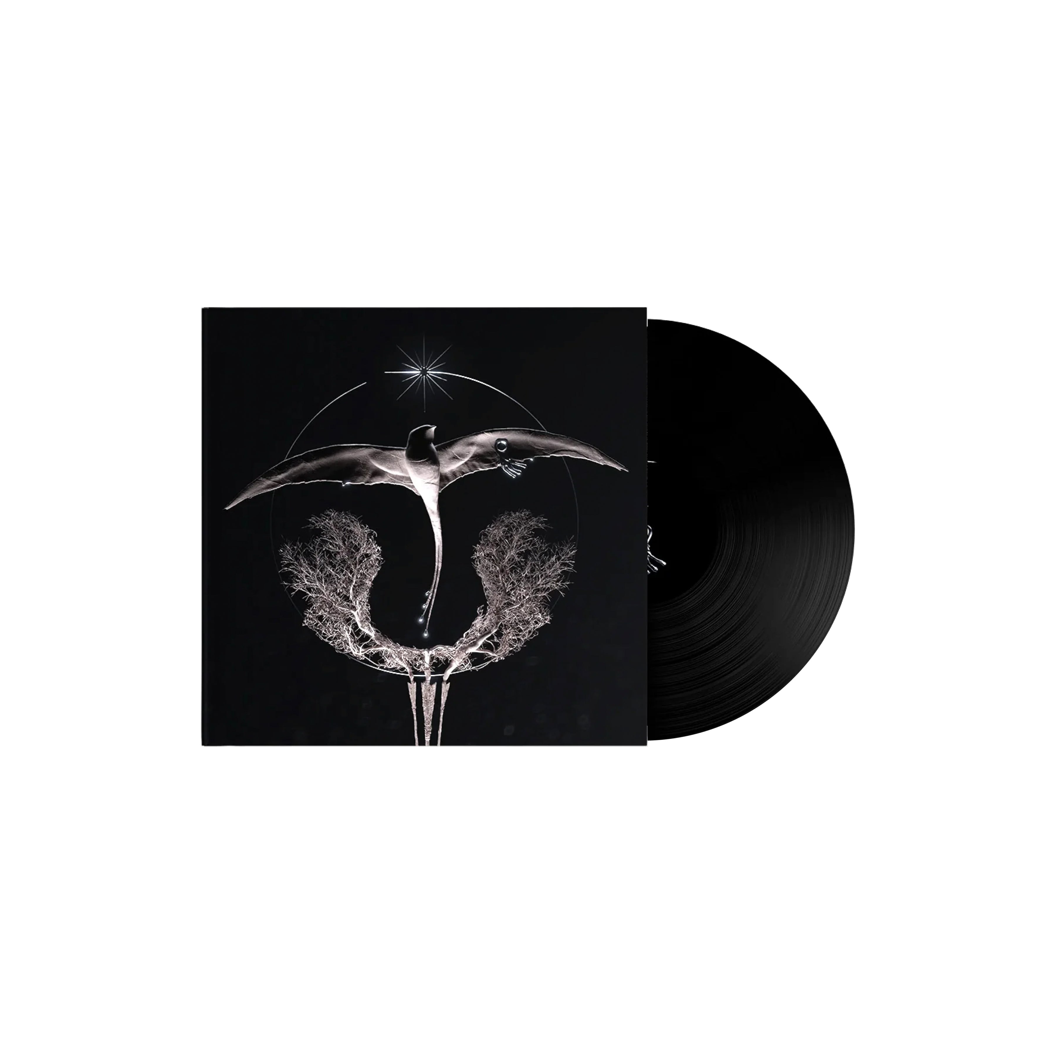 CLANN - Arise (Vinyle Noir 12")-5