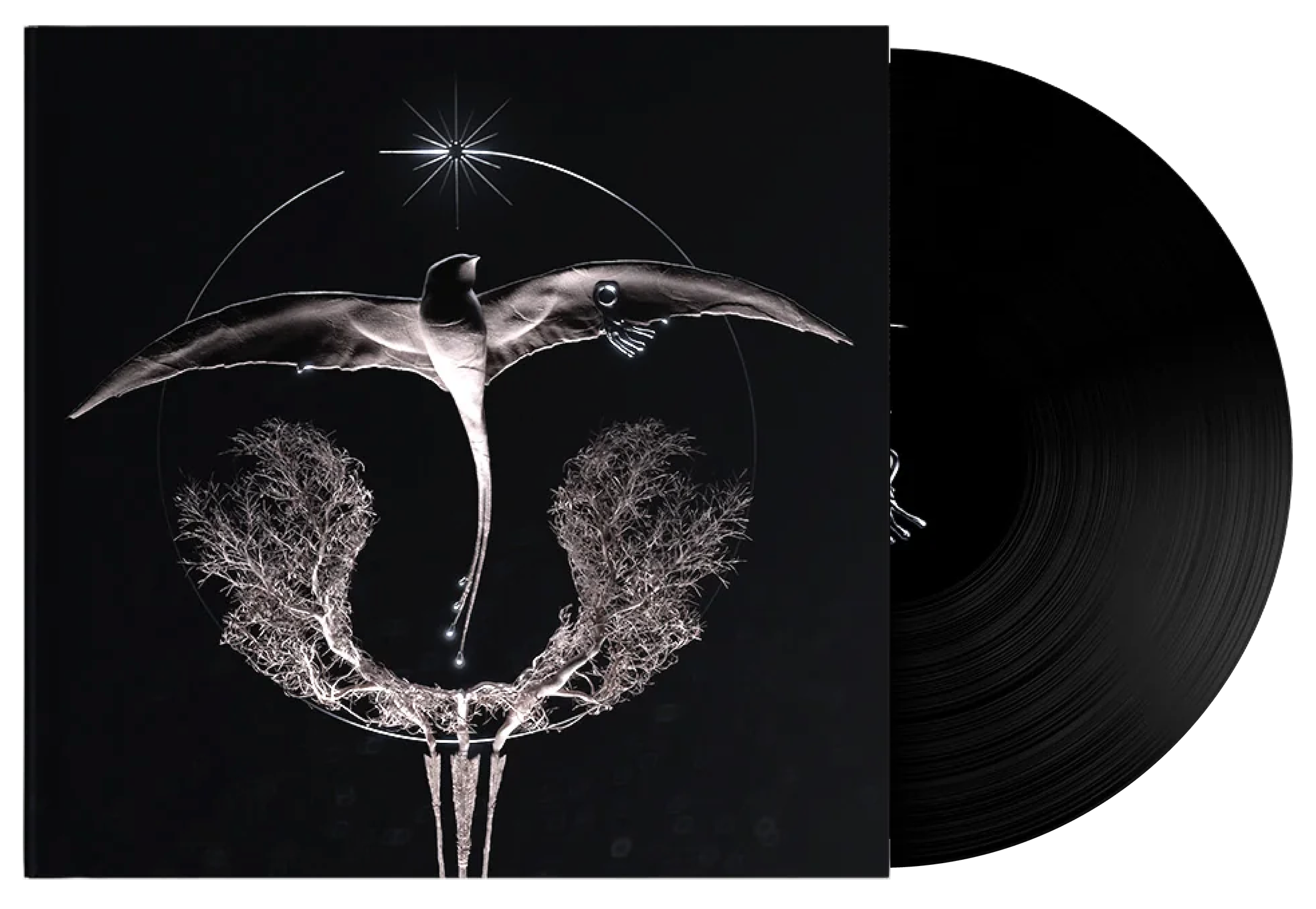 CLANN - Arise (12" Black Vinyl)