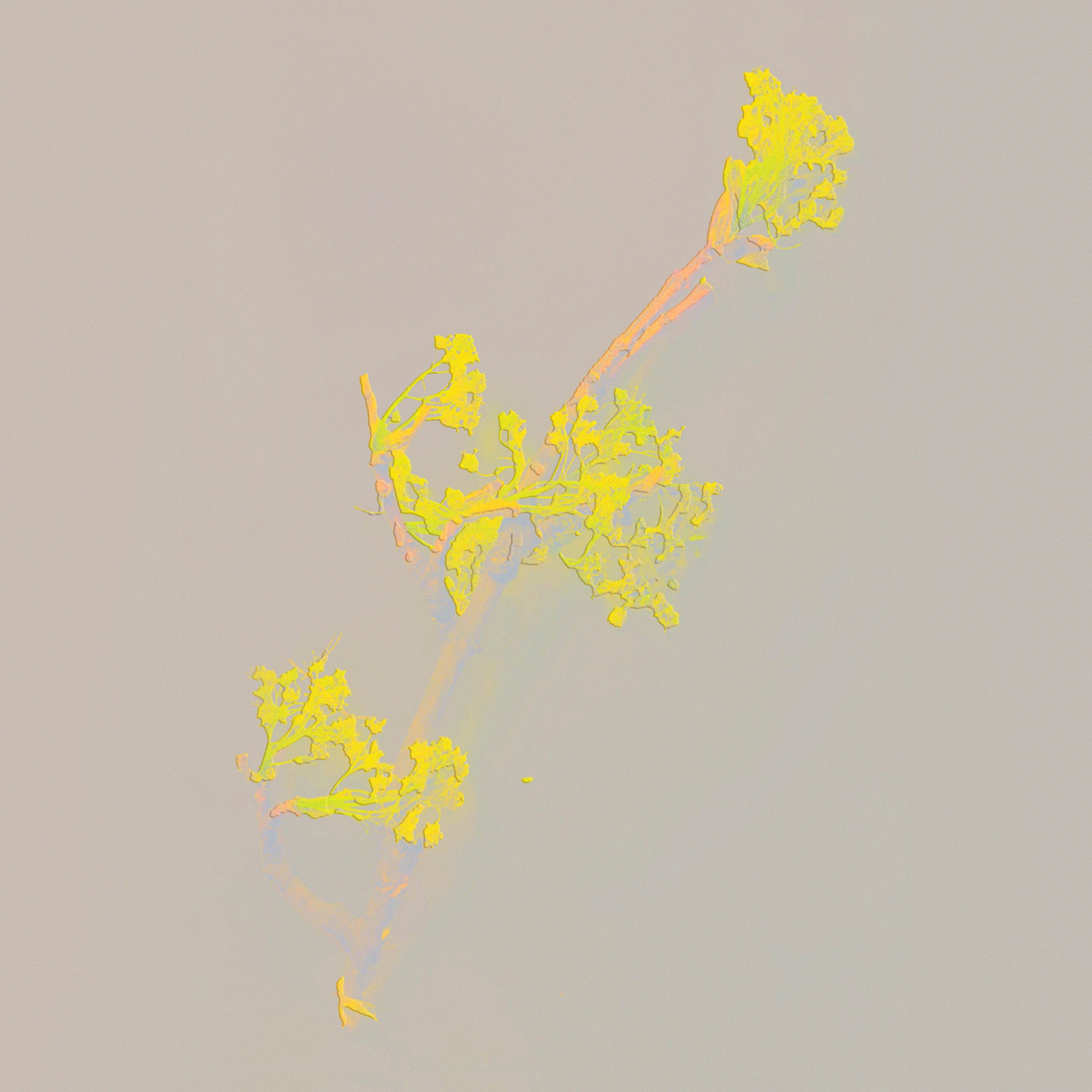 Universe