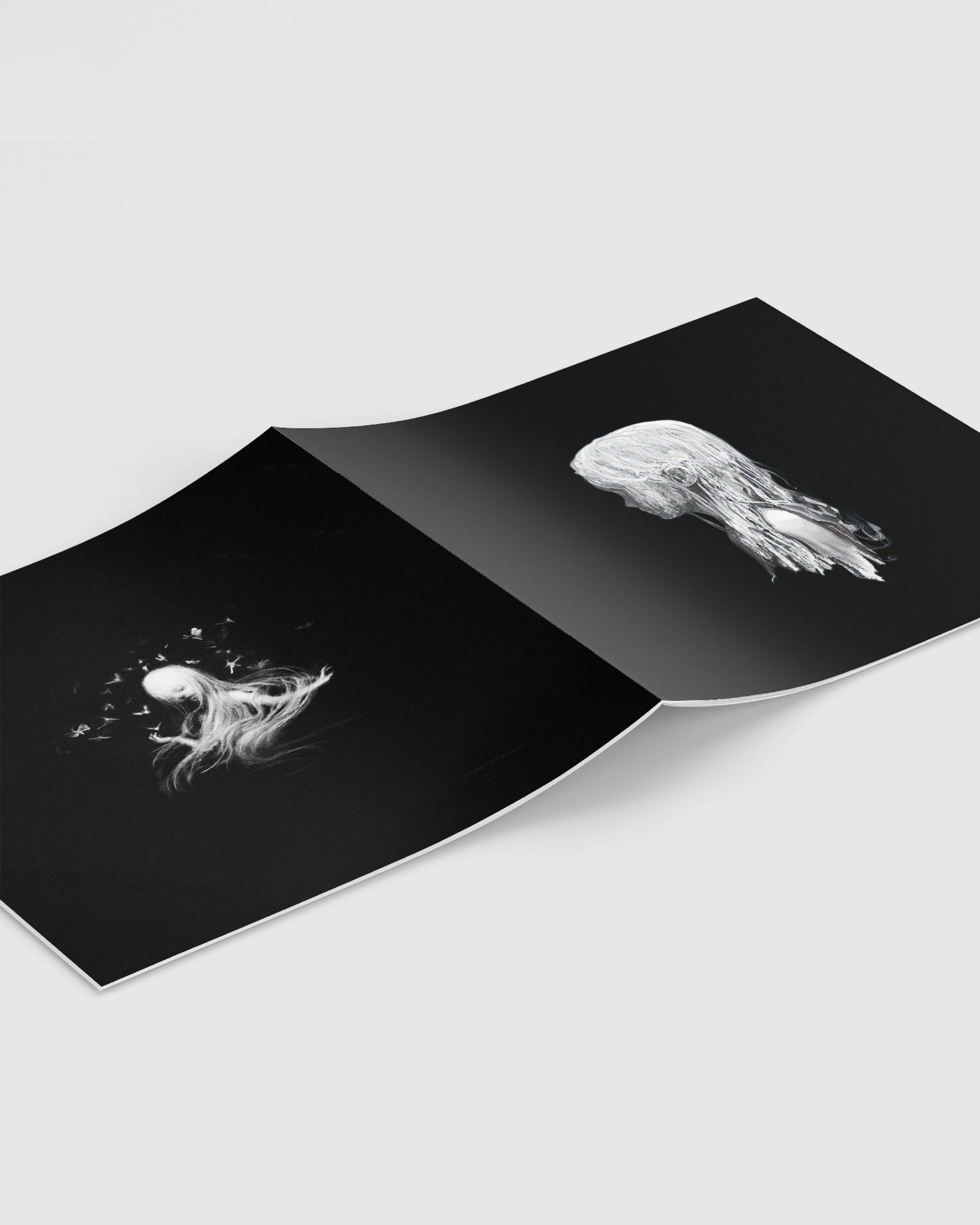 CLANN - Seelie (Vinyle Double Noir 12")-7